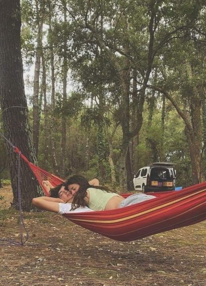 مون رڳو هي ٿي چاهيو هي جبل جيڏي زندگي هُن جي گهاٽن وارن جي پاڇن ۾ گذاريان هن جي ايترو ويجهو رهان جو هُن جي دل جو ڌڙڪڻ ٻڌان هُن جي حسن جي نوراني ڪرڻن مان پنهنجي روح تازو ڪريان جيئندو رهان مرندو رهان ان کان وڌيڪ مون ڪجھ نٿي گهريو
هونئن بہ ڇا، آئون هُنَ کي ڇڏي سگهيس ٿي؟
ناول! جوئاري