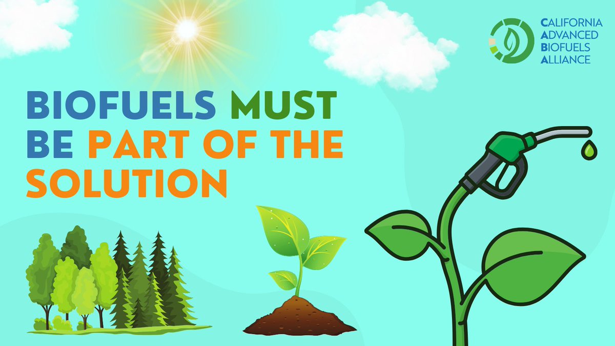 caadvbiofuels's tweet photo. With climate catastrophe fast approaching, we can't afford to take feasible climate mitigation tools off the table. 

Biofuels provide a cleaner alternative to gas emissions and absorb CO2 in the atmosphere. They must be part of the solution. https://t.co/GilRcbKlms