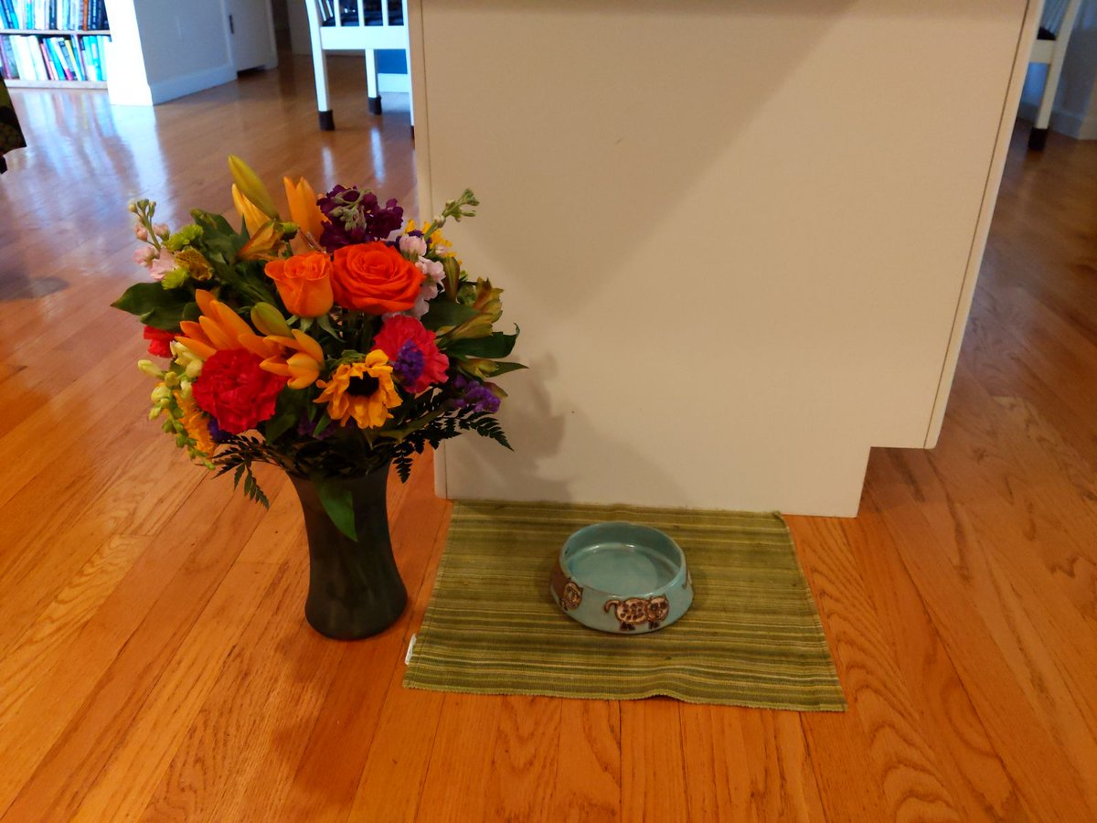 Caturday: hug your kitties while you have them.