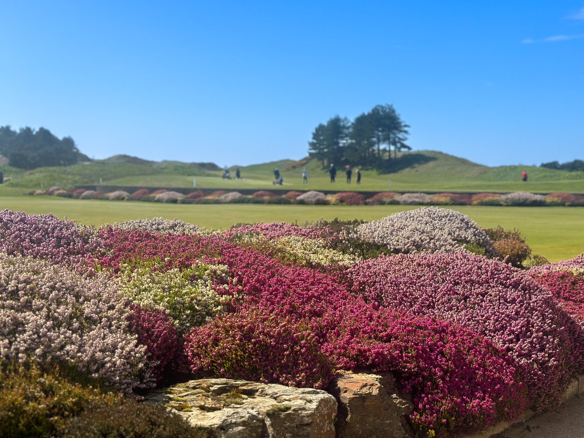 UK Golf Guy tweet media