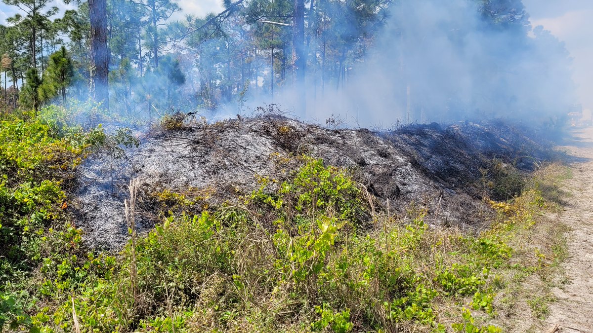 📍 FCI at a controlled burn in the J. W. Corbett Wildlife Management area with the Floria Forest Service to better understand wildland firefighters' occupational exposures. #FCIintheField #researchinaction