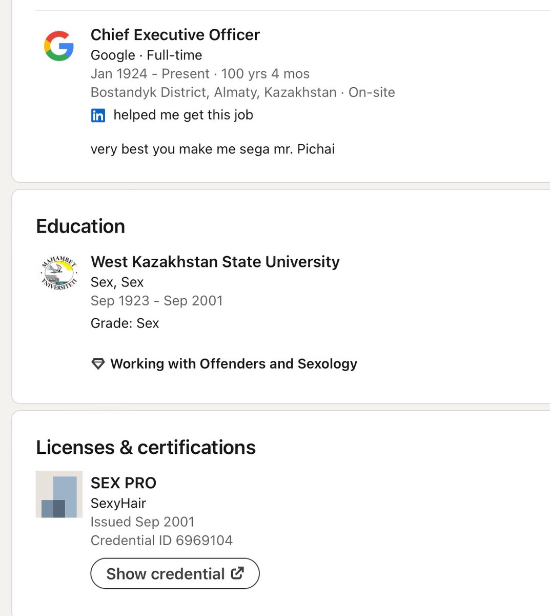 LinkedIn connection request of the day. Someone who studied Sex, Sex at West Kazakhstan State University and who has been CEO of Google for over a 100 years.