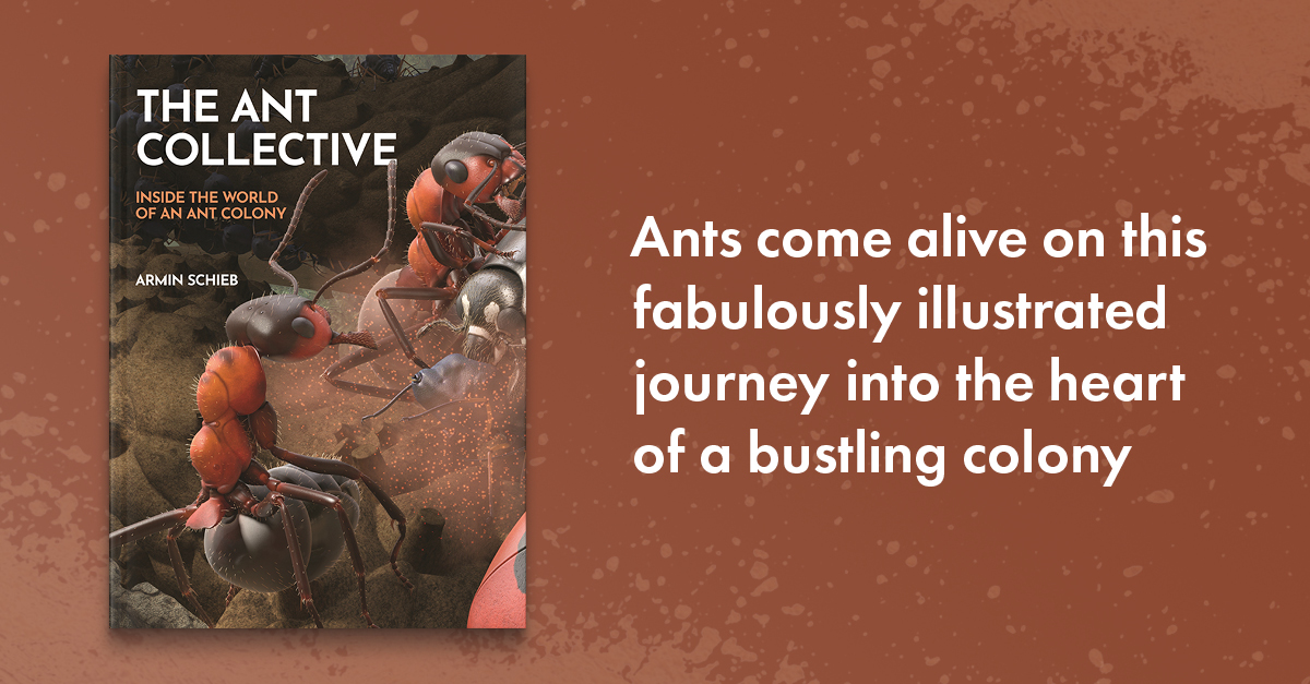 The Ant Collective presents the world of ants as you have never seen it before, using hyperrealistic, computer-generated imagery that shows 3D-like views of activities inside and outside a thriving nest of red wood #ants. Out May 7, preorder your copy: hubs.ly/Q02sWN_90