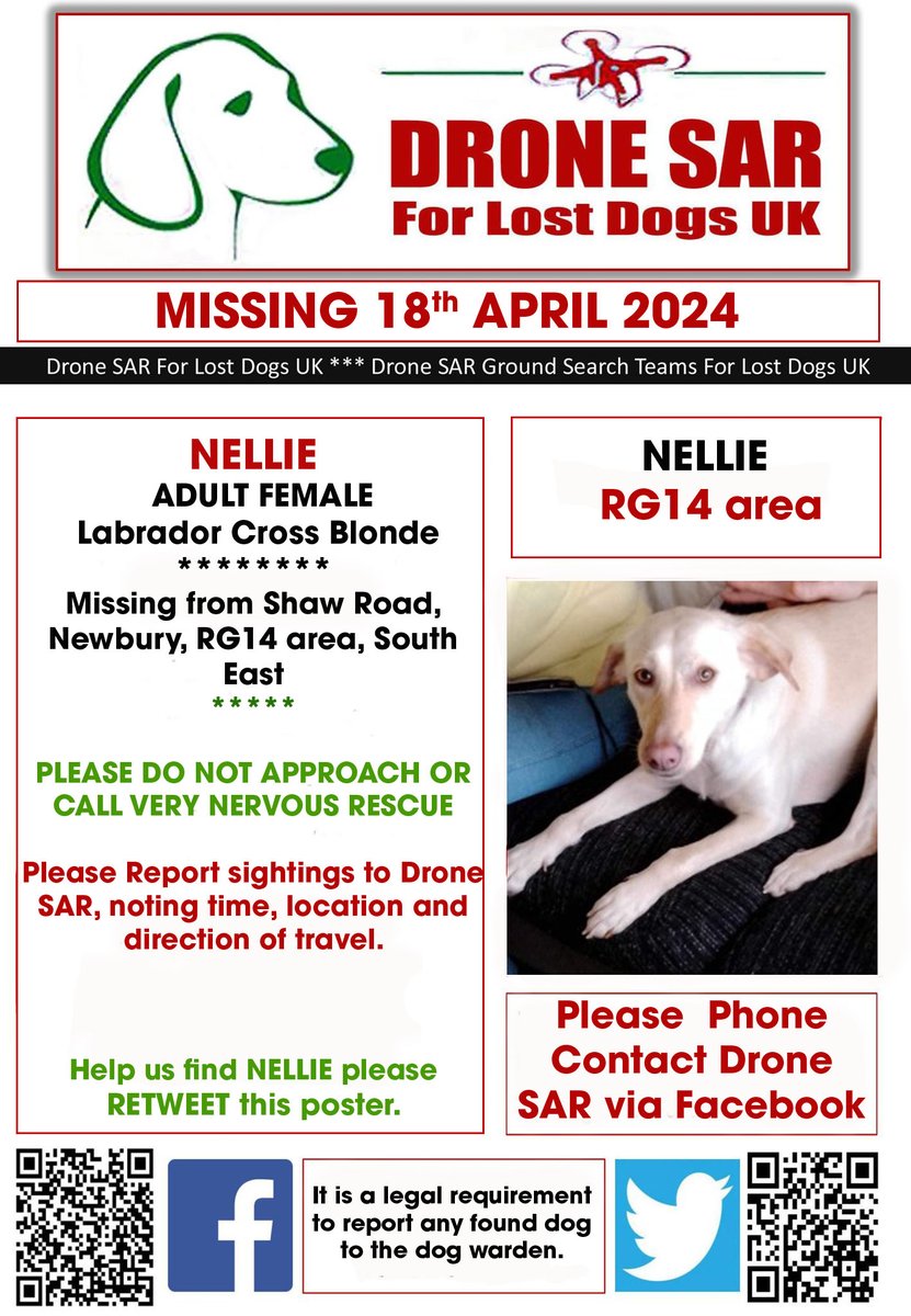 #LostDog #Alert NELLIE PLEASE DO NOT APPROACH OR CALL
Female Labrador Cross Blonde
Missing from Shaw Road, Newbury, RG14 area, South East on Thursday, 18th April 2024 #DroneSAR #MissingDog