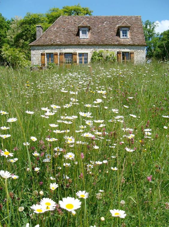 I have no use for fame or mansions. I don't want to chase another's dream. No, I just want a book filled cottage in a field of wildflowers.