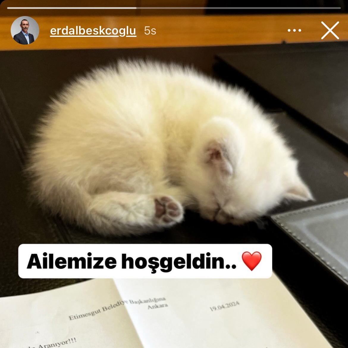 Erdal Beşikçioğlu, Malatya’daki göçük altından kurtarılan Mavi isimli kedinin yavrularından birini sahiplendi.
#erdalbesikcioglu