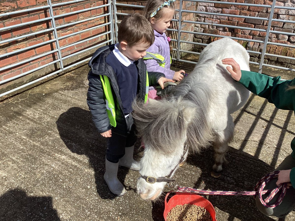 gilmourprimary's tweet photo. Reception had a fantastic day at @CroxtethFarm today! https://t.co/N78WGxk6SZ