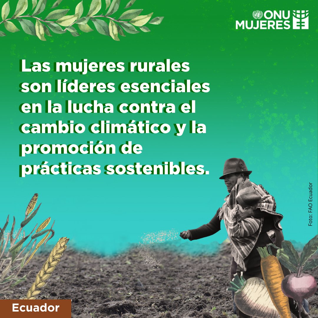Las mujeres rurales lideran la lucha contra el cambio climático y promueven prácticas sostenibles. ¡Su influencia es crucial para un futuro más verde! 🌿💪 #MujeresRurales #FinanciemosLaIgualdad #CerremosLaBrecha 👩🏿‍🌾👩🏽‍🌾👩🏼‍🌾