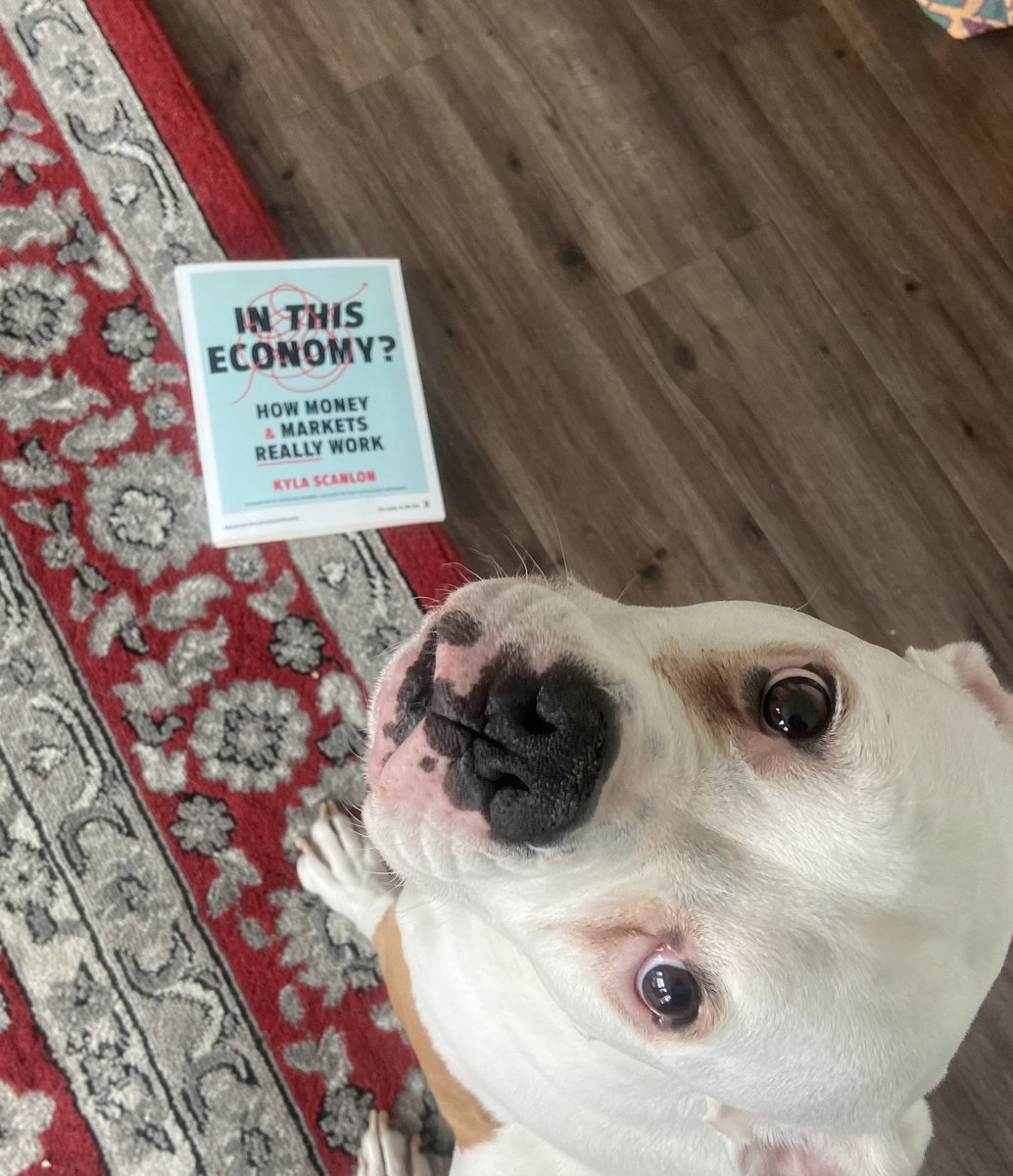 In This Economy is coming out soon (and it's moo approved)!! If you pre-order it today from B&N, you’ll get 25% off. Premium members get another 10%. If you’re interested, use the code PREORDER25 barnesandnoble.com/w/in-this-econ… #BNPreorder @BNBuzz