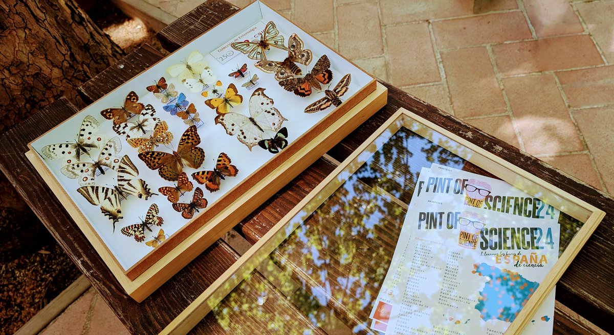 TRBL Intellectual Property tweet media