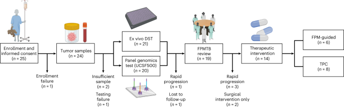 NatureMedicine's tweet image. An observational study of #FunctionalPrecisionMedicine in #pediatriconcology showed that genomic profiling &amp;amp; ex vivo drug sensitivity testing enabled personalized treatment recommendations   within 4 weeks. @ArletAcanda @Azzamlab @Diana_Azzam_PhD  nature.com/articles/s4159…