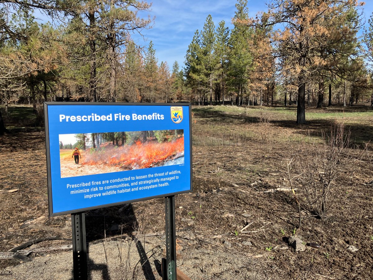 When you visit Turnbull NWR (WA), your burning questions about this fire scar will be answered! After a 500-acre #rxburn from October 2023, the refuge placed these signs along a popular auto tour route to help educate the public about wildland fire work being done on the refuge.