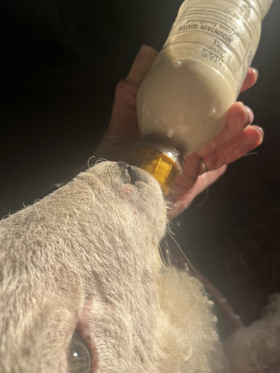 CllrGMacgregor's tweet photo. It’s certainly been a busy week of two halves and thankfully my life is never dull or any day the same 🤍 #FoodForTheSoul #ThisIsLocalGovernment #ThisFarmingLife https://t.co/1dJ3VTOK3o