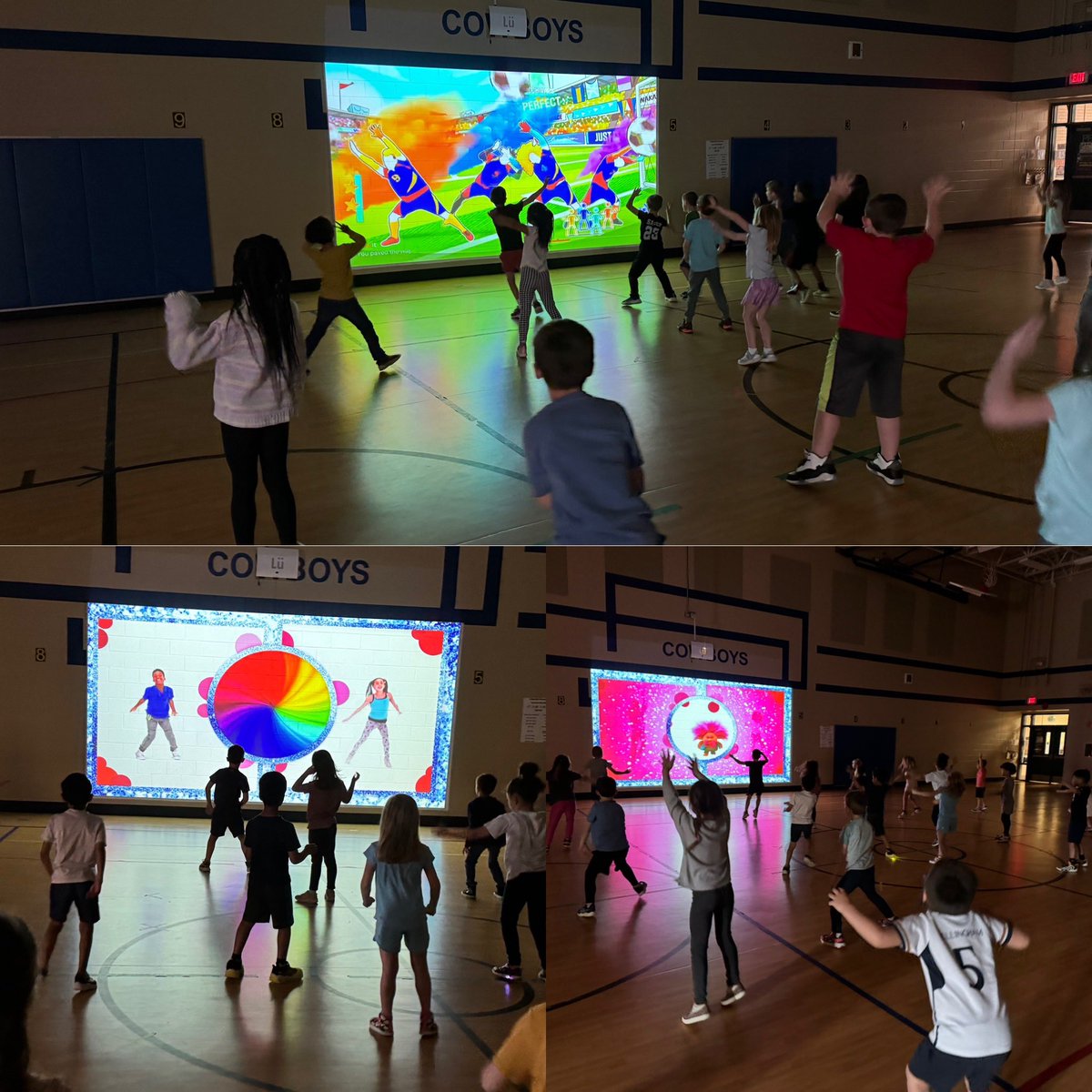 Jodi Lucas tweet media