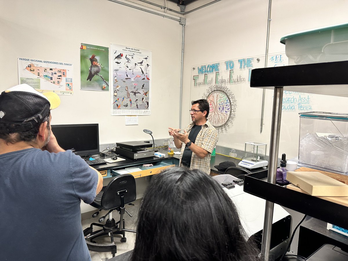 Lina Aragón tweet media