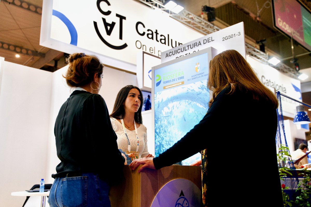 🐟🐠El sector del peix i marisc català mostra la seva competitivitat comercial a la @SeafoodBCB 2024.
👉#PRODECA organitza la participació agrupada de 20 empreses catalanes sota el lema #Catalunya Regió Mundial de la Gastronomia #CRMG25

📎prodeca.cat/ca/actualitat/…