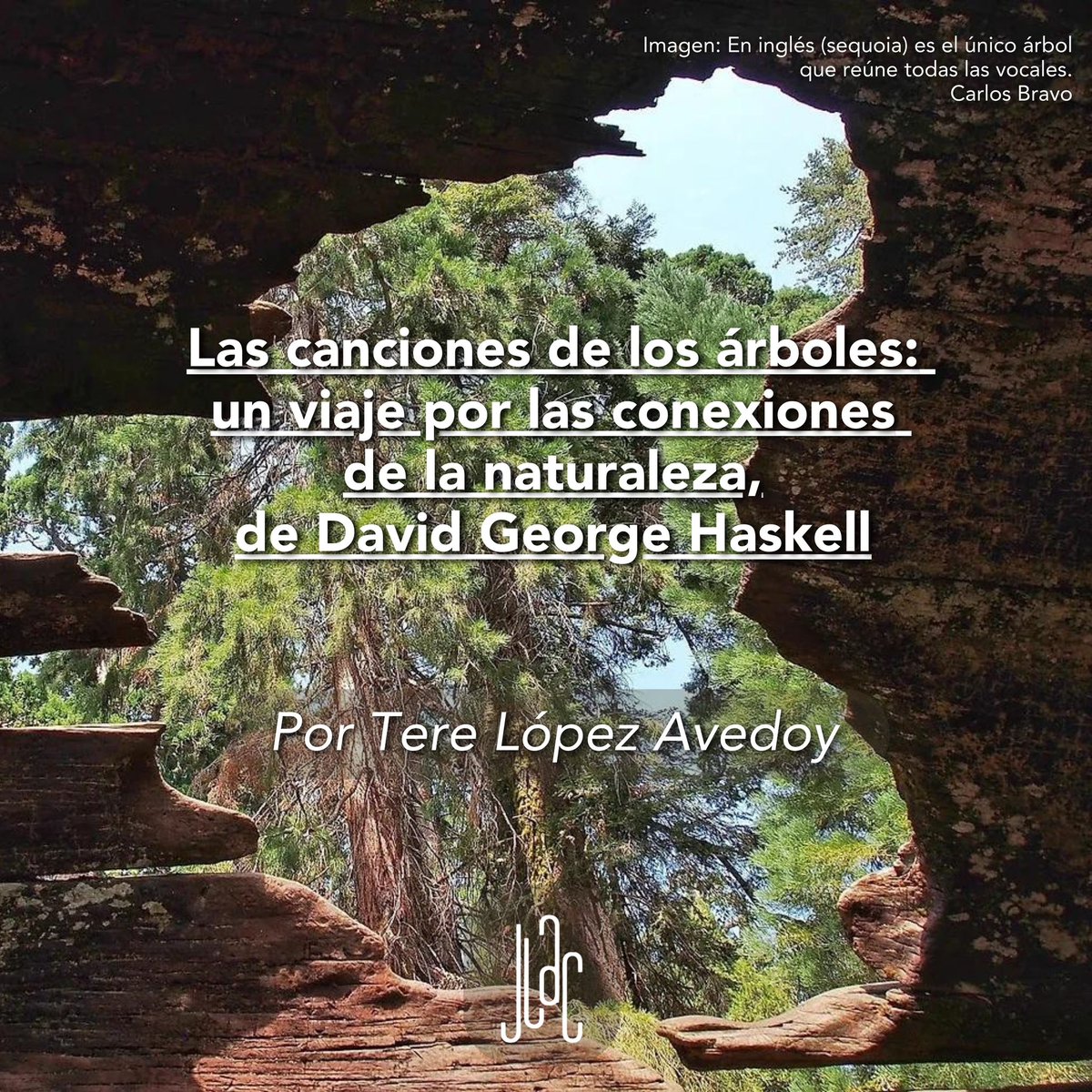 jardin_lac's tweet photo. Tere López Avedoy nos enlaza con David George Haskell y su obra “Las canciones de los árboles”, a través de ésta, ambos nos invitan a una singular conversación sobre el corazón sonoro de la naturaleza.
Disponible en nuestra bio 🌳🙂↔️🎶
#JardínLAC #DavidGeorgeHaskell https://t.co/1wIXclTpNq