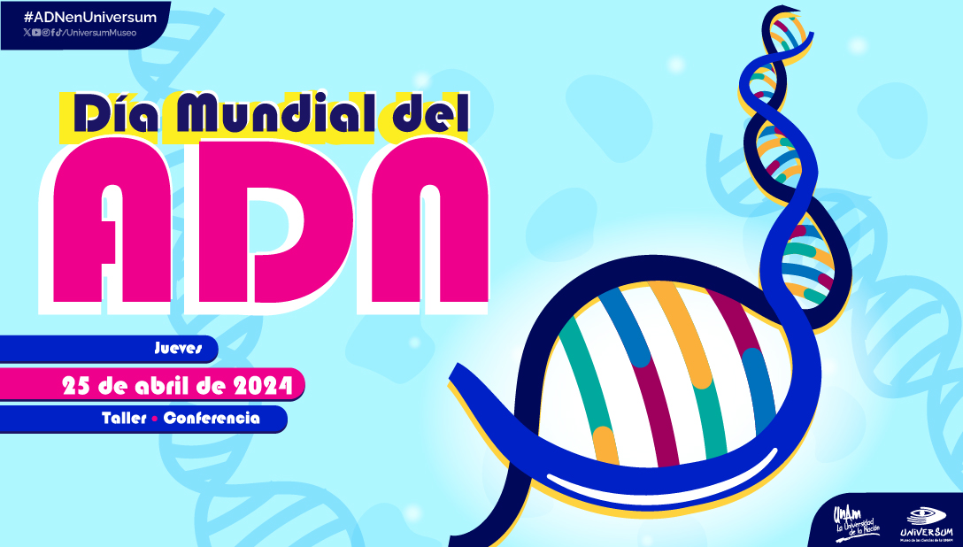 <a href="/MHNCA_CDMX/">Historia Natural MX</a> <a href="/mafcultura/">Museo Archivo de la Fotografía</a> <a href="/MUSEOMODO/">MuseoObjetodelObjeto</a> <a href="/La_Rodadora/">La Rodadora</a> #HablandoDeMuseos 

¡Pronto se celebra al ADN! 🥳🧬

Conoce a la molécula más importante de la vida, fundamental para la existencia y la evolución de la vida en la Tierra. 🤩🌎

Visita Universum y descubre lo que tenemos para ti. 🤗🤓