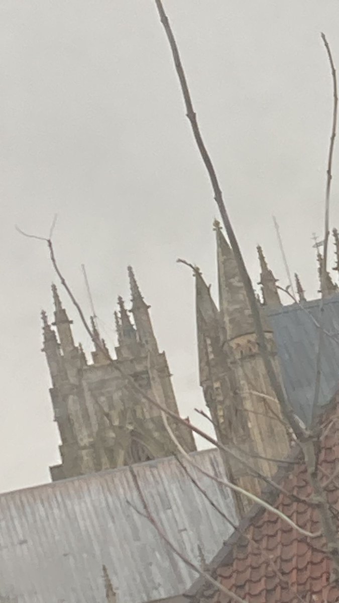 My daughter sent me this photo last week because although *she* didn’t want to go to visit this place she knew *I* would be jealous. Trolled with Beverley Minster by my own child. Is there a support group for that?