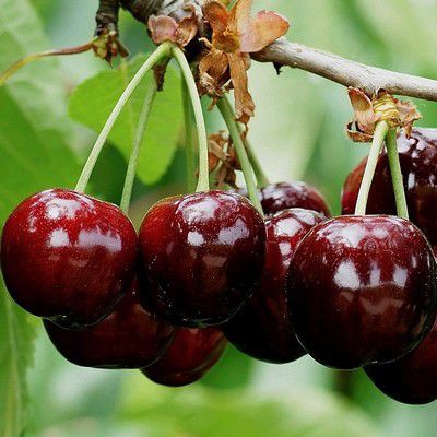 mloben (@mloben) on Twitter photo 