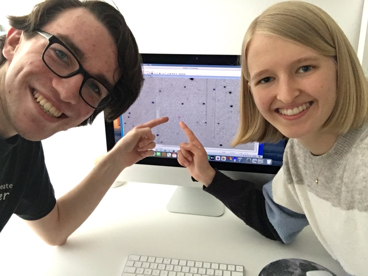 People everywhere are teaming up to hunt for asteroids as part of the International Astronomical Search Collaboration. With your own set of high-quality astronomical data, you can make original astronomical discoveries. Get started: bit.ly/43U3b1D #CitSciMonth