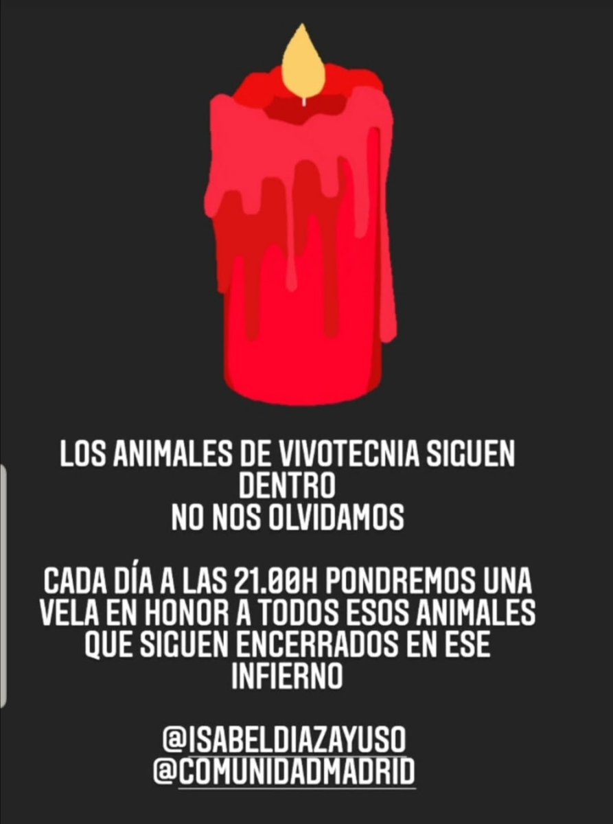 21 h.
No Olvidamos

Y mientras más seamos, antes los cerraremos TODOS.

#RescateVivotecnia 
#EndAnimalTesting 
@ONU_es
@OMS_es
@ComisionEuropea
@Europarl_ES
@EP_President
@MargSchinas
@mapagob
@CSIC
#StopCarmales
@La1_tve 
@laSextaXplica 
@aquilatierratve