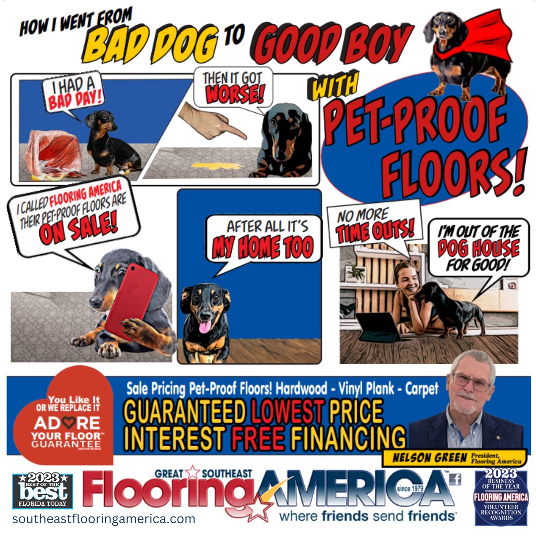 SEFlooringAmer's tweet photo. Durable, pet-friendly flooring is a must-have in any home with pets, no matter how big or
small your furry friend is. Visit our showroom or browse: https://t.co/biyWY7S3Z6
.
#adoreyourfloor #wherefriendssendfriends #spacecoastflooring #flooringstore #shoplocal #bestofthebest https://t.co/ioElwcEver