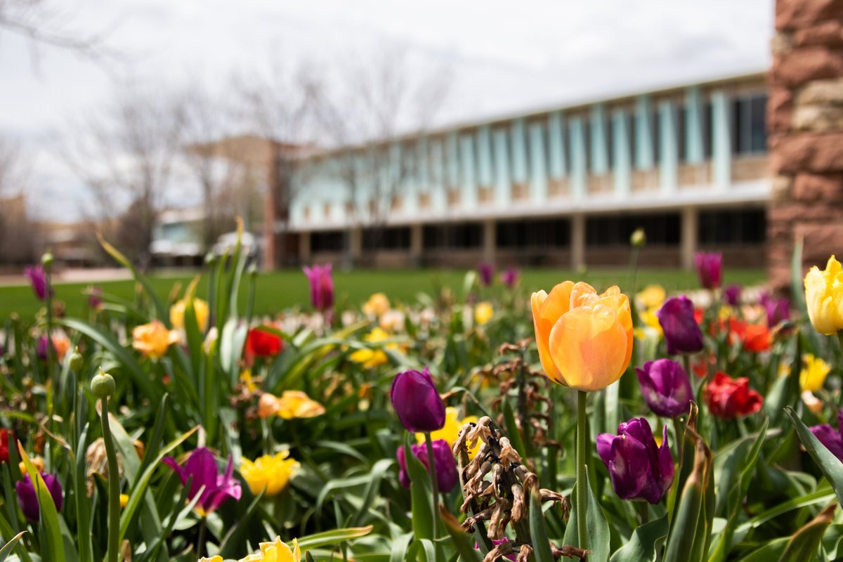 Spring has sprung.🌷 #ColoradoState