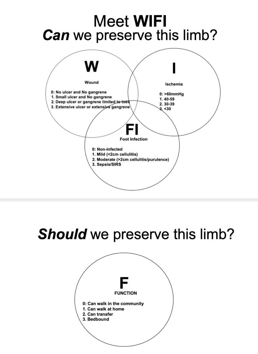 WIFI + Functional Score “Can we preserve this limb?” meets “Should we preserve this limb?”  #ActAgainstAmputation  #DiabeticFoot – DF Blog bit.ly/2qNOQGa diabeticfootonline.com/2019/10/16/wif…
