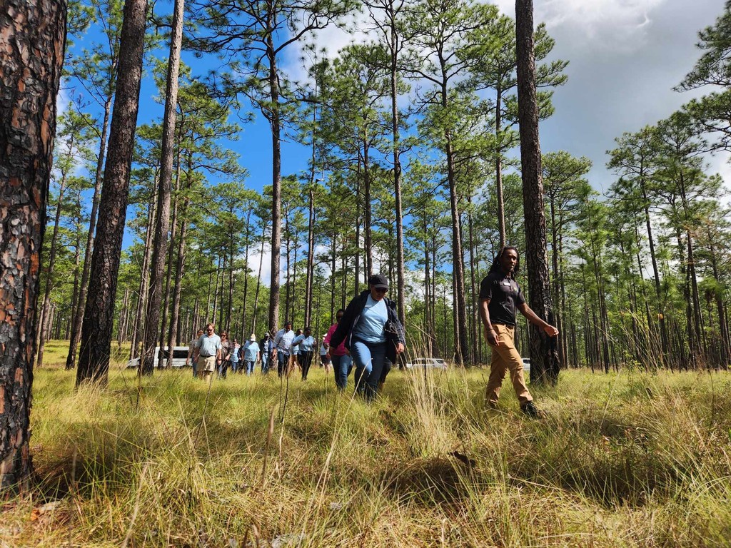 A local leadership development program in Albany, GA, recently visited Ichauway as part of their South GA natural resources day. It was a beautiful morning in the woods talking about #longleafpine , #rxfire, gopher tortoises, red-cockaded woodpeckers, and a touch of quail.