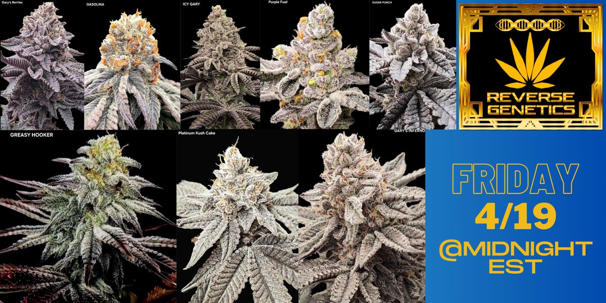 📣Reverse Genetics 4/20 Release📣🍃
🗓️TODAY, 4/19 @9:00pm PST or Midnight EST
9 Feminized strains to choose from
#reversegenetics#420#newrelease