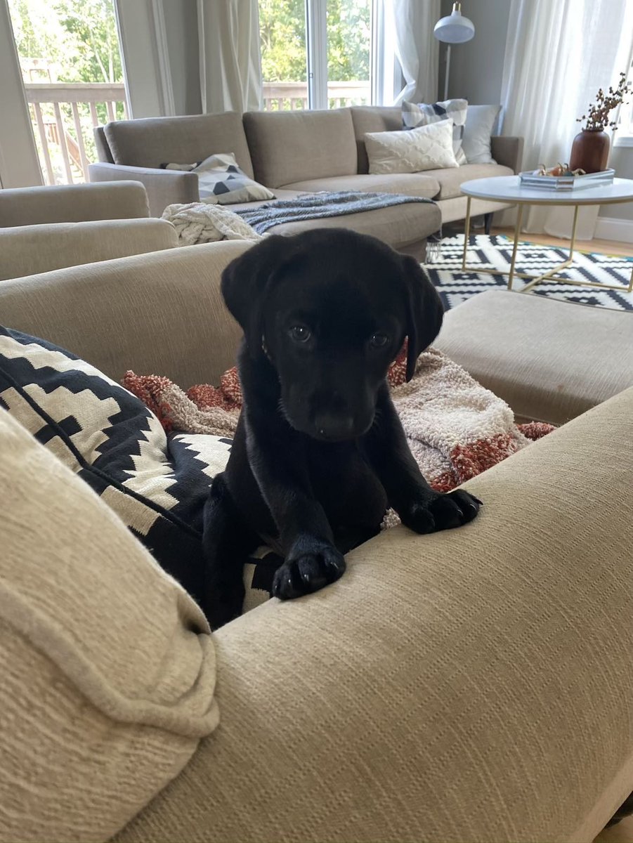 MrsHektner27's tweet photo. @BreakdownPod @OpTic @CordaRoys @scump @OpTic @CordaRoys Desi 🥰 https://t.co/KZ32jeifVJ