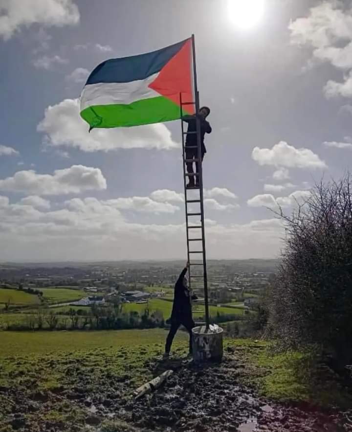 Seen in County Armagh, Ireland.

#FreePalestine 🇵🇸