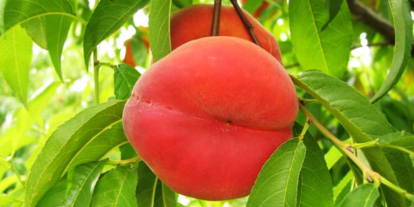 mloben (@mloben) on Twitter photo 