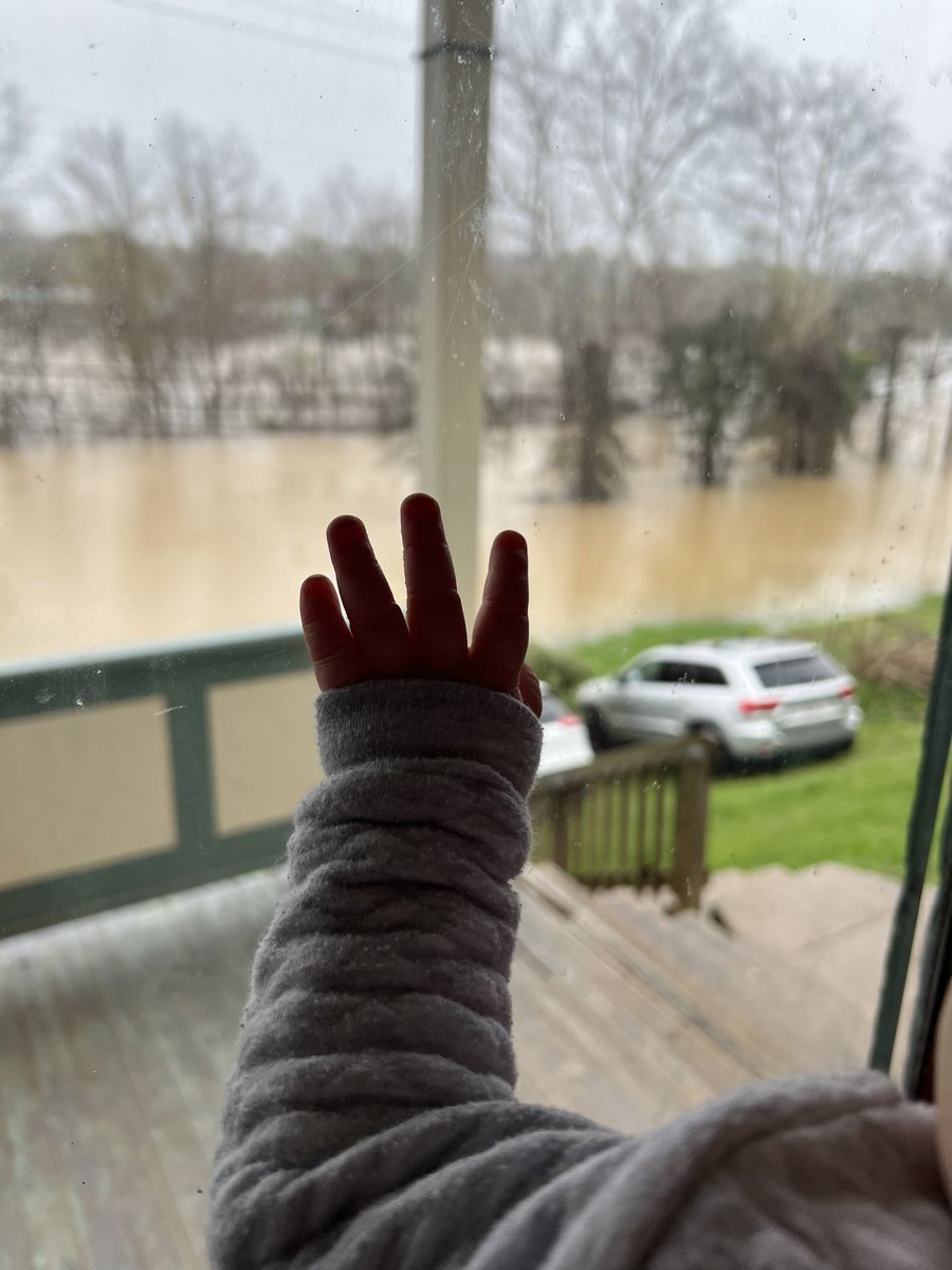Haley Gates tweet media