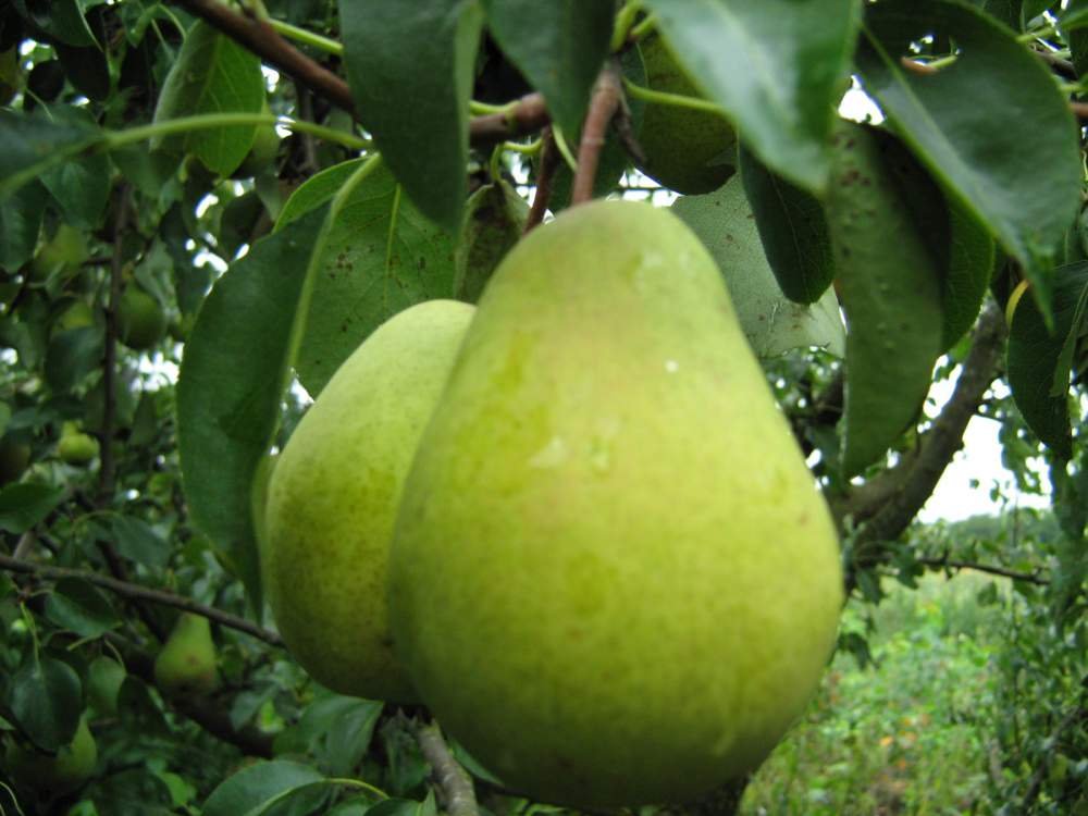 mloben (@mloben) on Twitter photo 