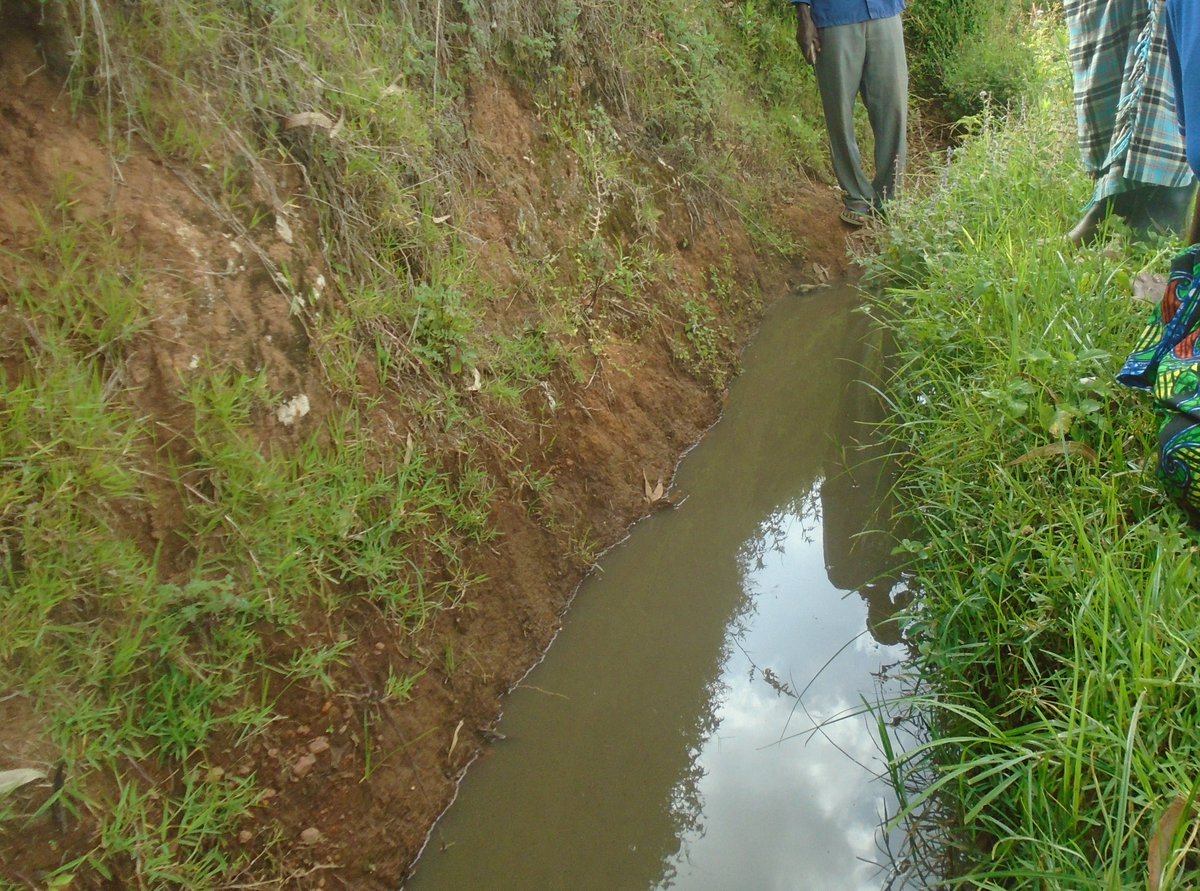 CONTOUR TRENCHES! 
These are trenches or pits that are dug along the hill to stop or reduce the flow of water. This is one of the best ways of controlling soil erosion & landslides.
#QUESTION: Do you have contour trenches in your area? 

Comment, Like & Repost. 
#LetsFarmTogether