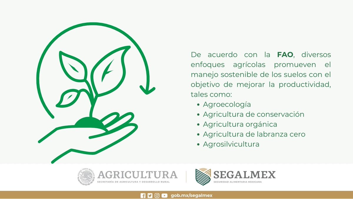 La #Agricultura sustentable promueve técnicas de conservación de suelos, como la terraza de cultivos, para prevenir la erosión y mantener la fertilidad del suelo.