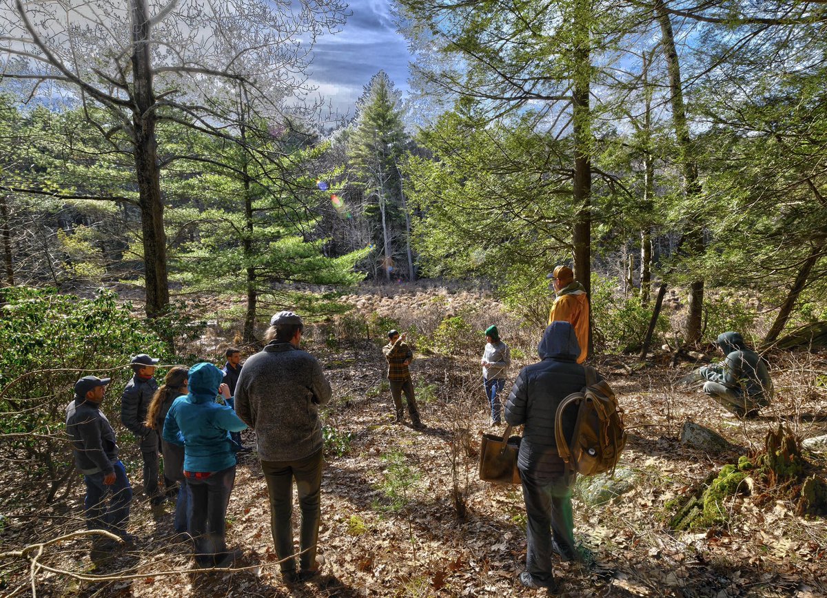 🌲 This spring, students from @skcollege visited The Forest School at YSE for our shared “Tribal Forestry” seminar. Together, we attended lectures and tours, and held space for meaningful exchange. 💚 For more info on the YFF speaker series, visit: yff.yale.edu