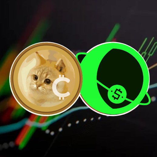 BSCGemsAlert's tweet photo. #catcoin Or #DollarMoon : You Can Only Choose One. https://t.co/2yMbxT6vyp