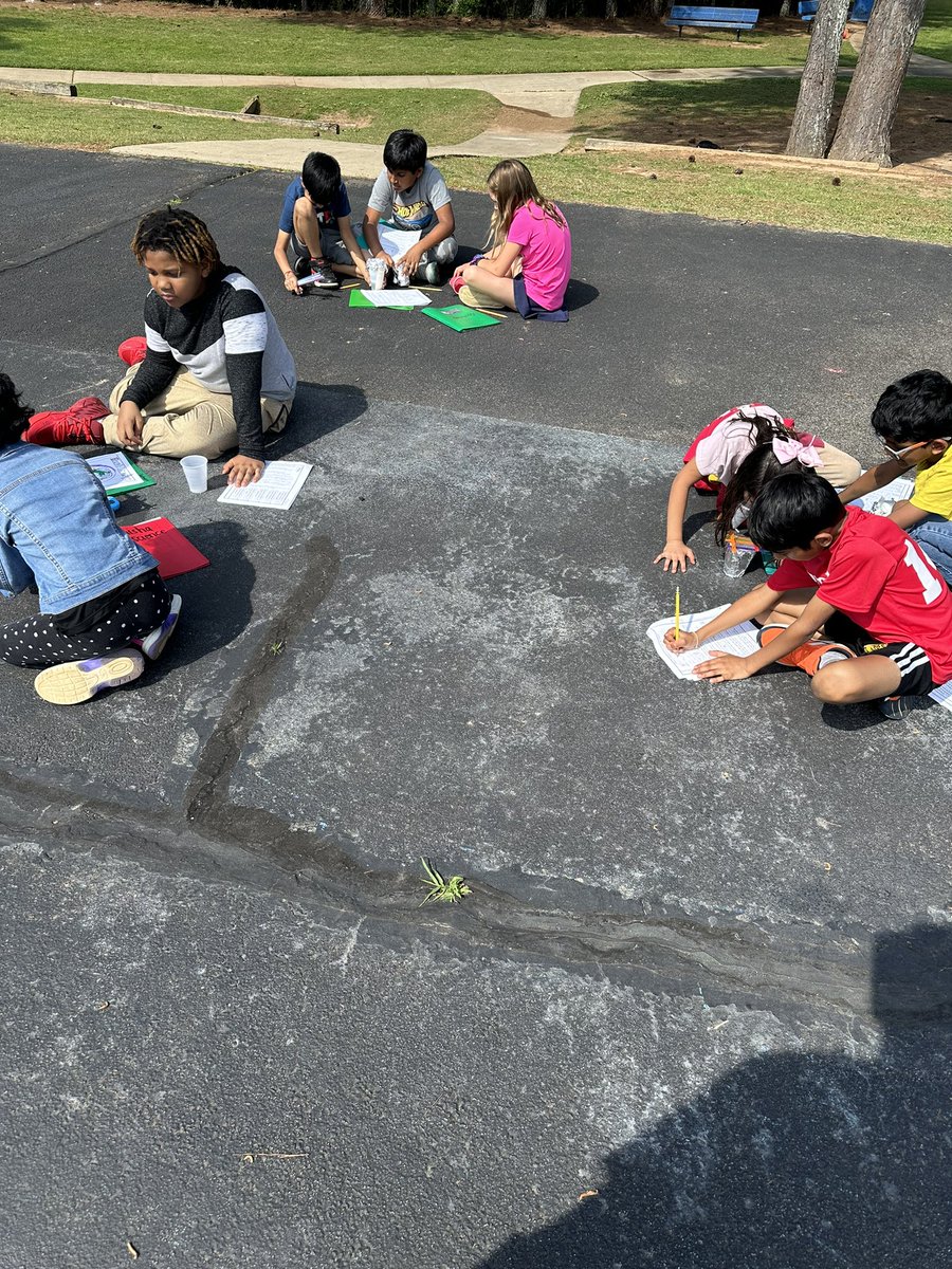 Beth Starling tweet media