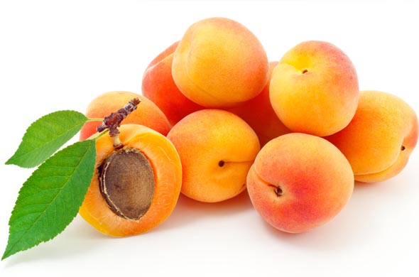 mloben (@mloben) on Twitter photo 