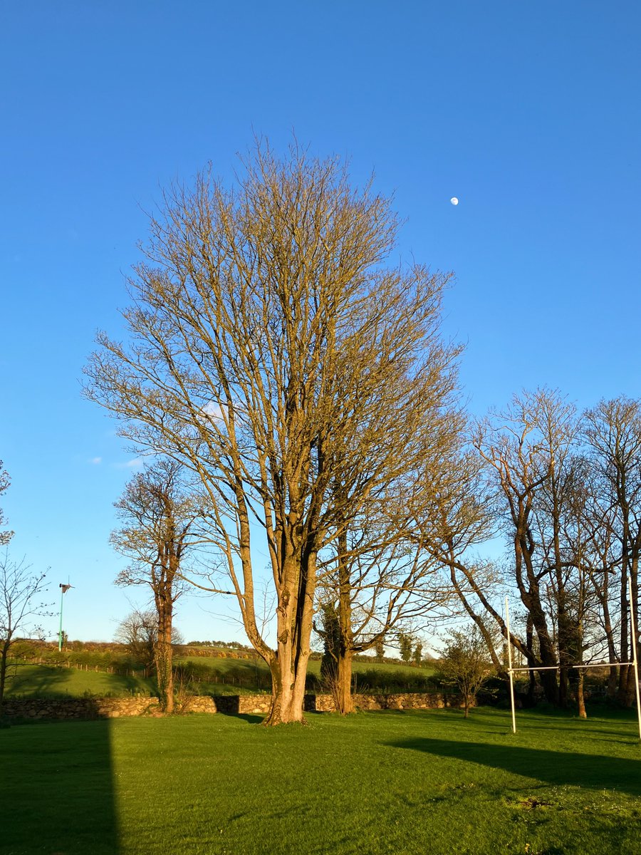 An April evening in Ireland