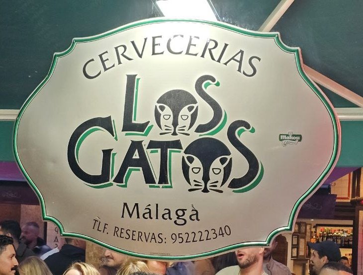 😻 Preparando los últimos detalles de las Jornadas Felinas Andaluzas
El equipo @FdCATS ya está en Málaga 😹 
#jfa2024