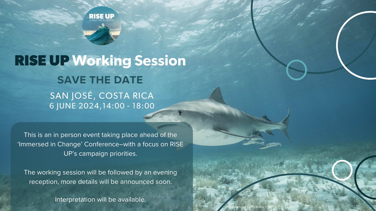 🗓️ If you're coming to Costa Rica🇨🇷 for 'Immersed in Change', you are invited to our network working session. We will focus on #RiseUp4TheOcean campaign priorities and how to align our efforts and strategize for impactful advocacy. RSVP: docs.google.com/forms/d/e/1FAI…