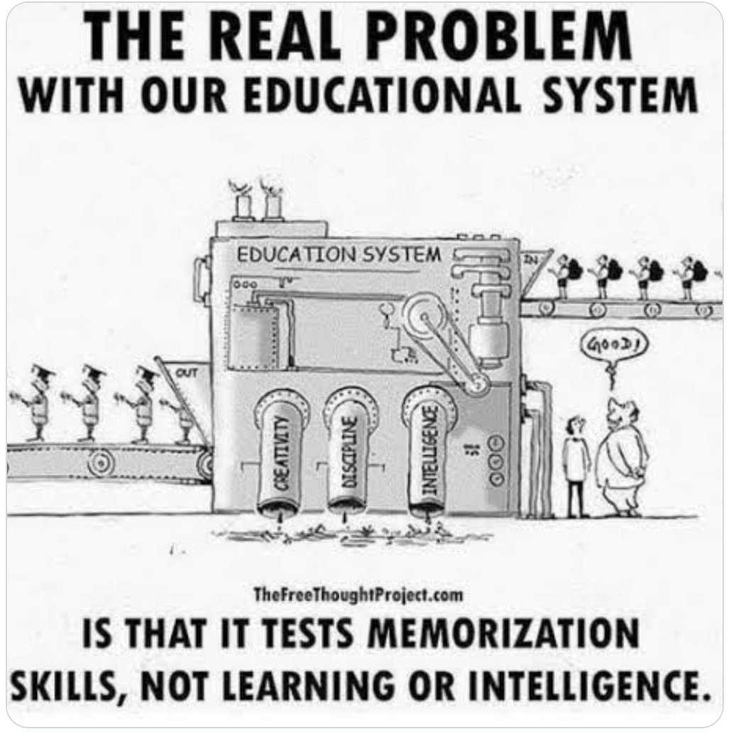 Pink Floyd  'Another brick in the wall' parçasında 'We don't need no education' diyerek  okulda verilen eğitimi eleştirmişti, Roger Waters bu sözleri yazdığında yıl 1979 

Yıl 2024 , gelecek 5 yılda muhtemelen diploma bir işe yaramayacak.    

Gençlerin yetenekleri ,