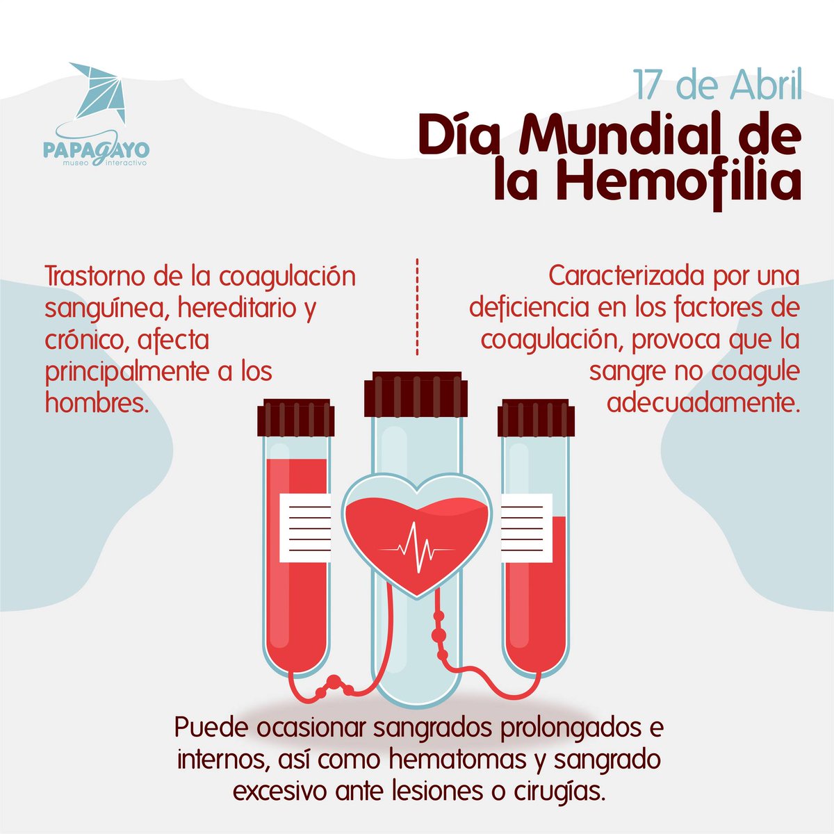 <a href="/TrompoMuseo/">El Trompo MIT ®</a> <a href="/UniversumMuseo/">Universum Museo</a> <a href="/MHNCA_CDMX/">Historia Natural MX</a> <a href="/mafcultura/">Museo Archivo de la Fotografía</a> <a href="/MUSEOMODO/">MuseoObjetodelObjeto</a> <a href="/La_Rodadora/">La Rodadora</a> #HablandoDeMuseos estos días se conmemoró el Día mundial de la hemofilia. 🩸

La hemofilia afecta a las personas de todos los grupos raciales y étnicos, se presenta en 1 de cada 5,000 bebés varones. La hemofilia "A" es casi cuatro veces más común que la hemofilia "B" 😱