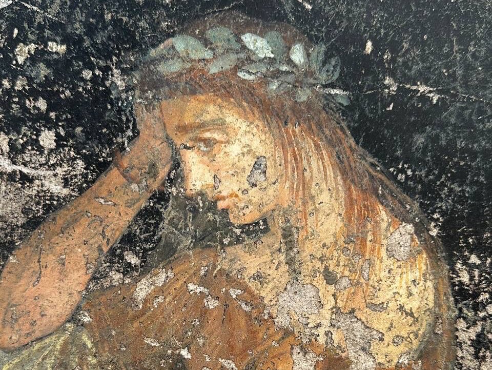 Dr Sophie Hay tweet media