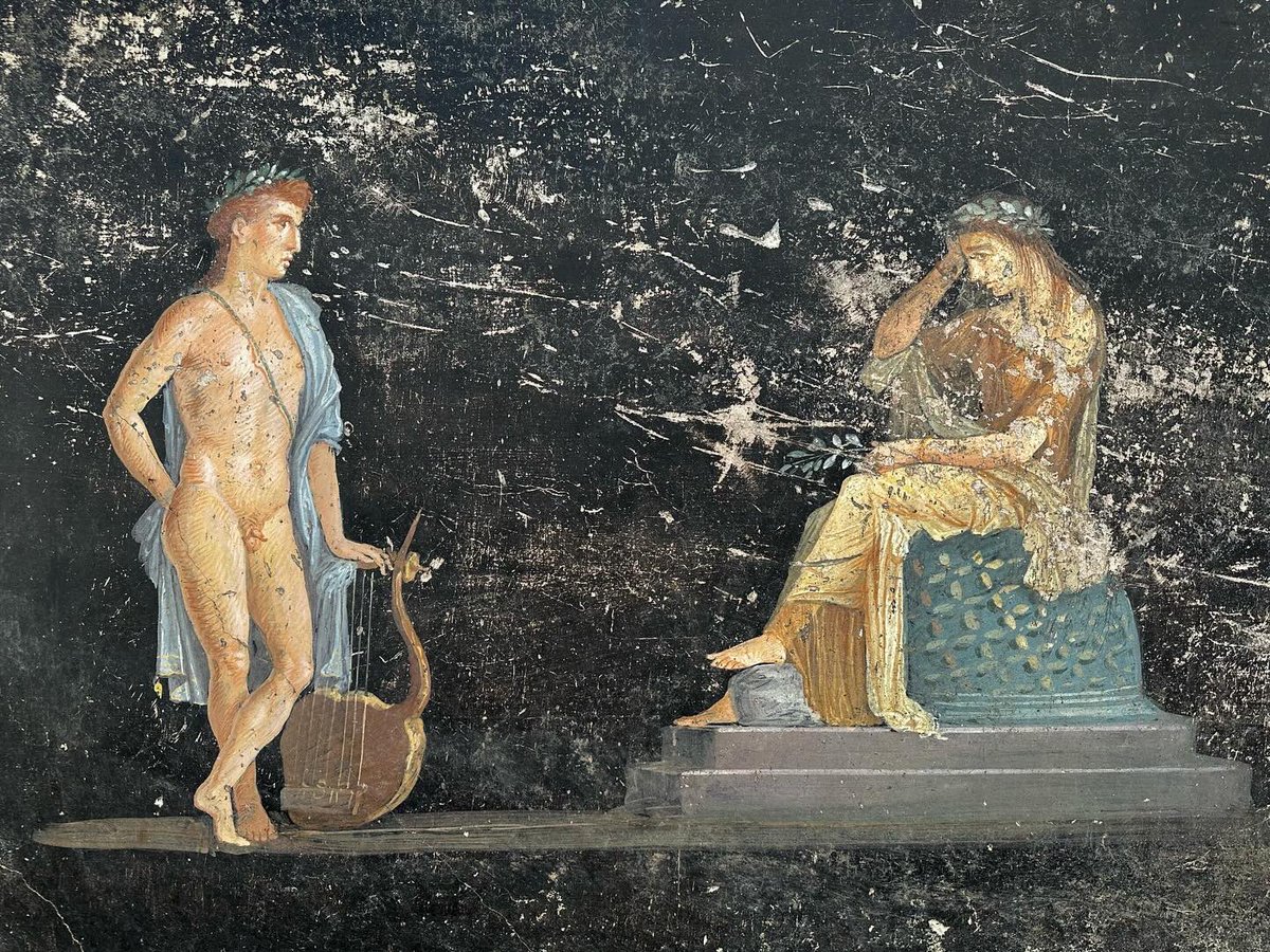 Dr Sophie Hay tweet media