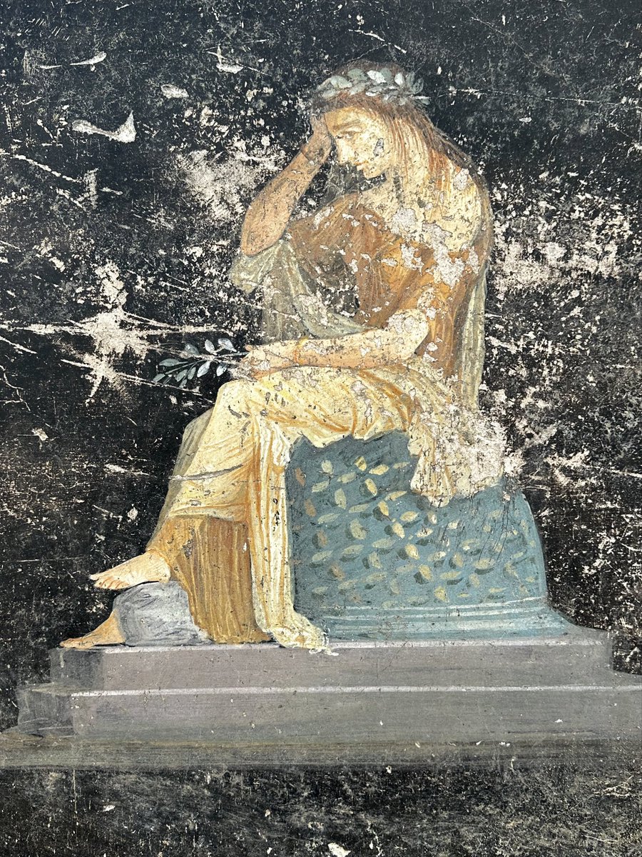 Dr Sophie Hay tweet media